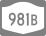 NY 981B